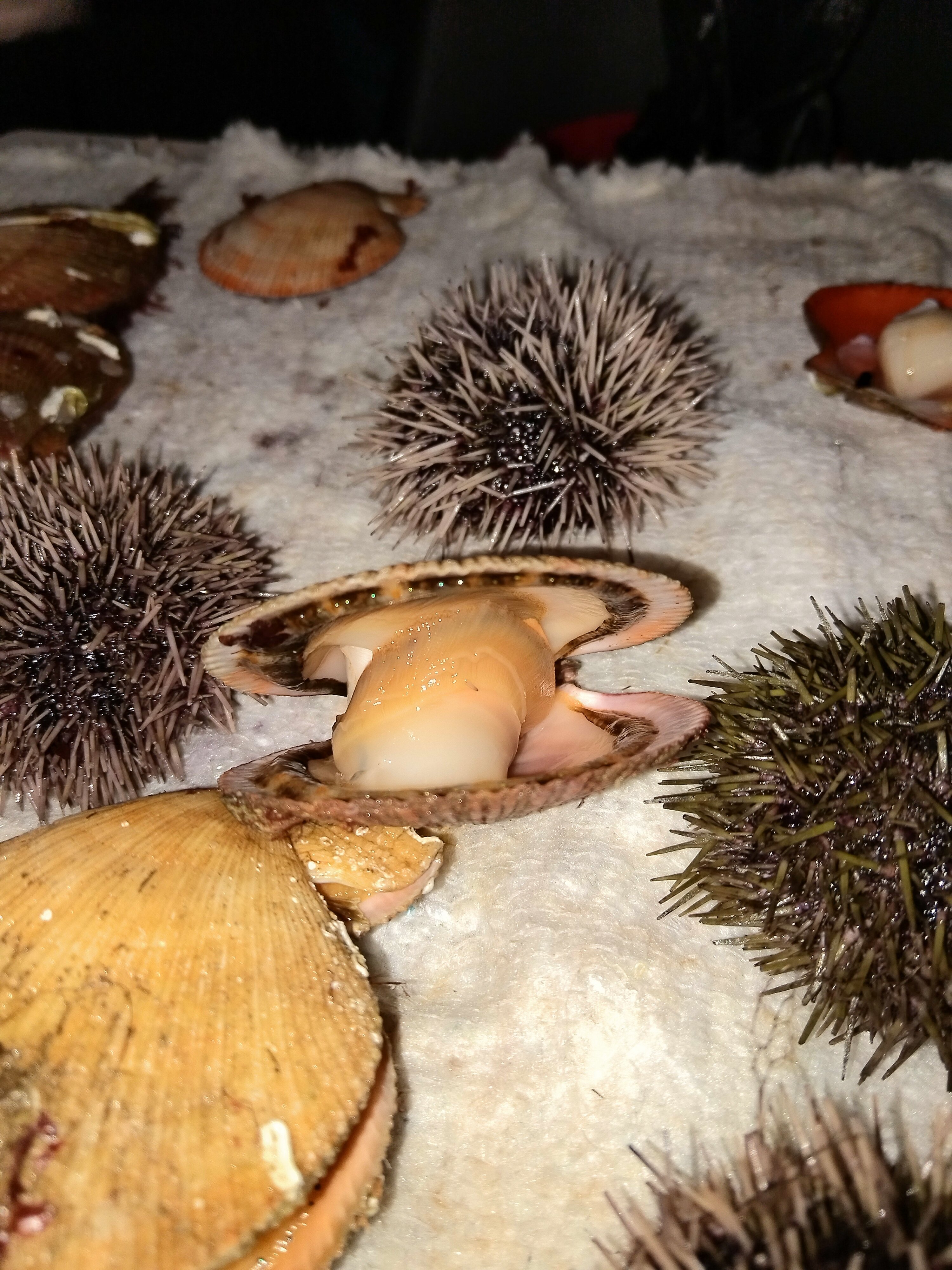 Фото Arctic Brewery