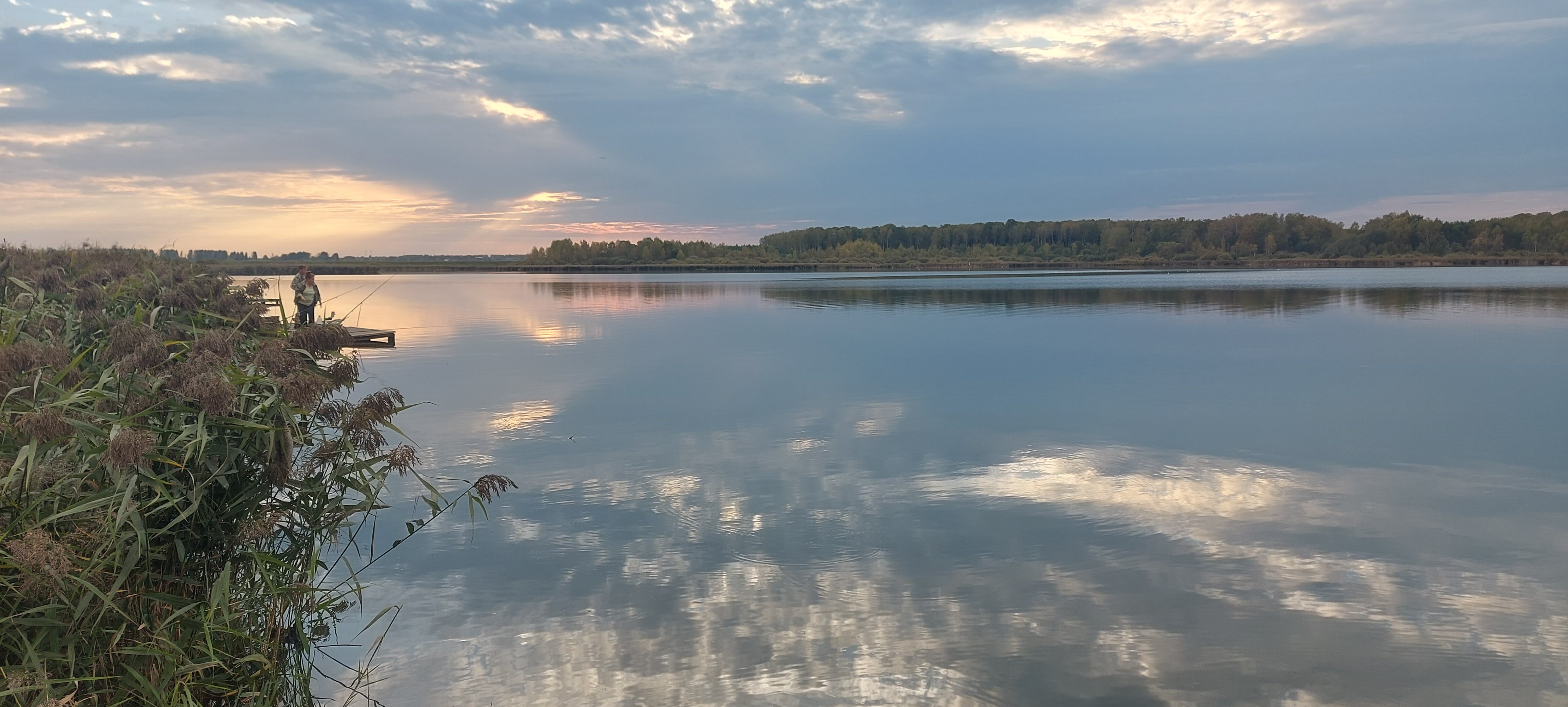 Фото Белая цапля