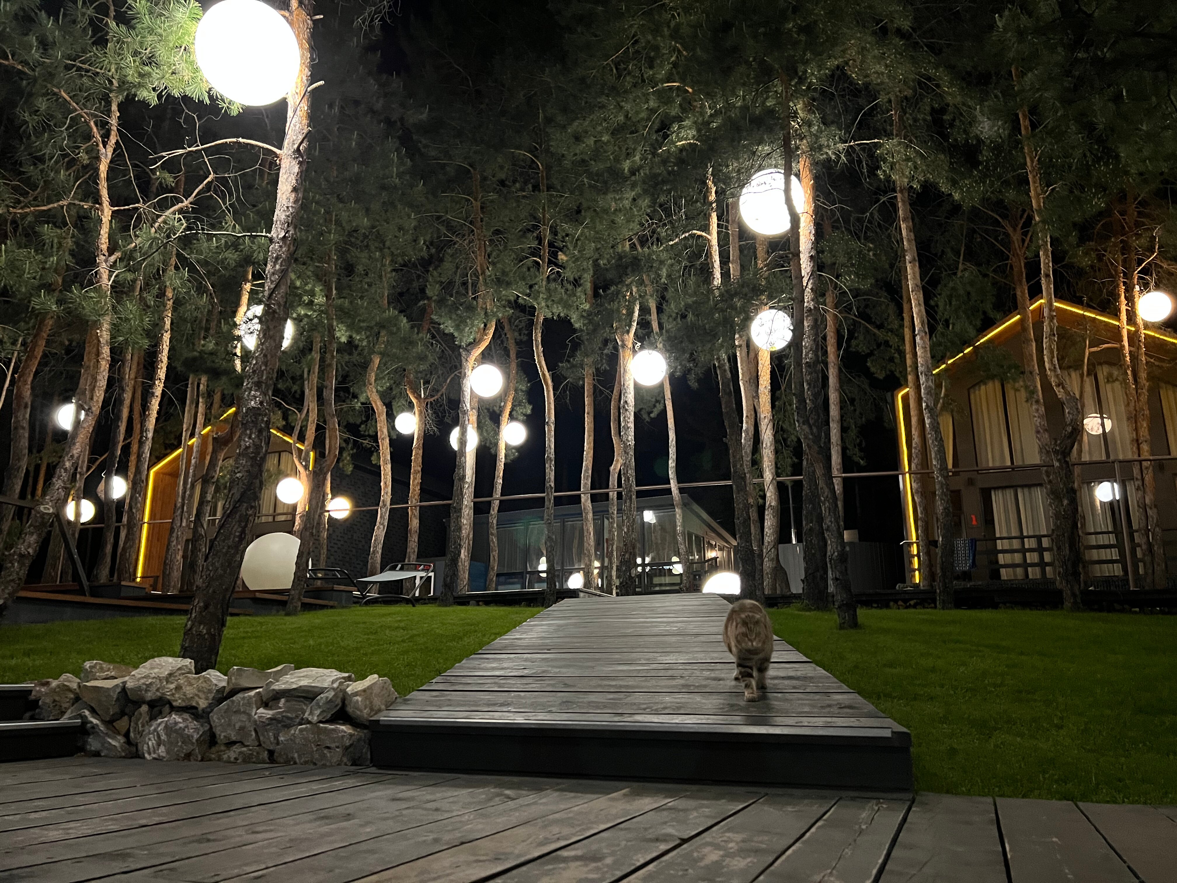 Фото Коттеджный комплекс Dachi