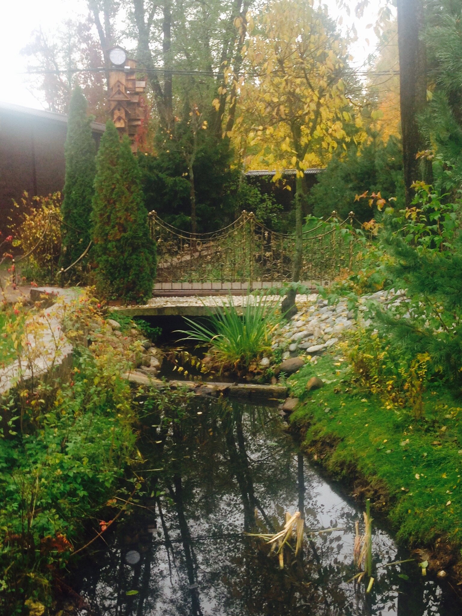 Фото Тихая заводь