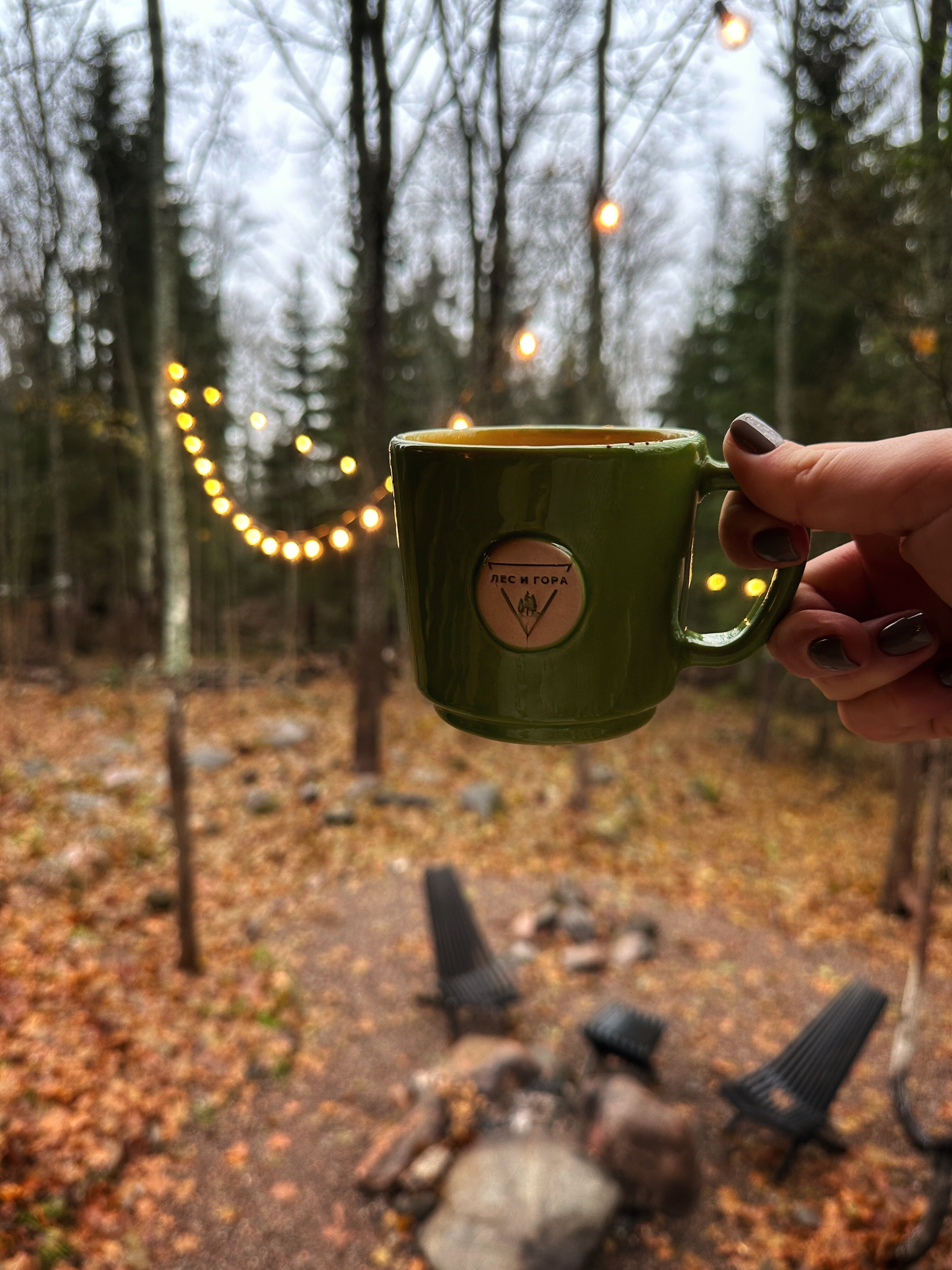 Фото Лес и Гора