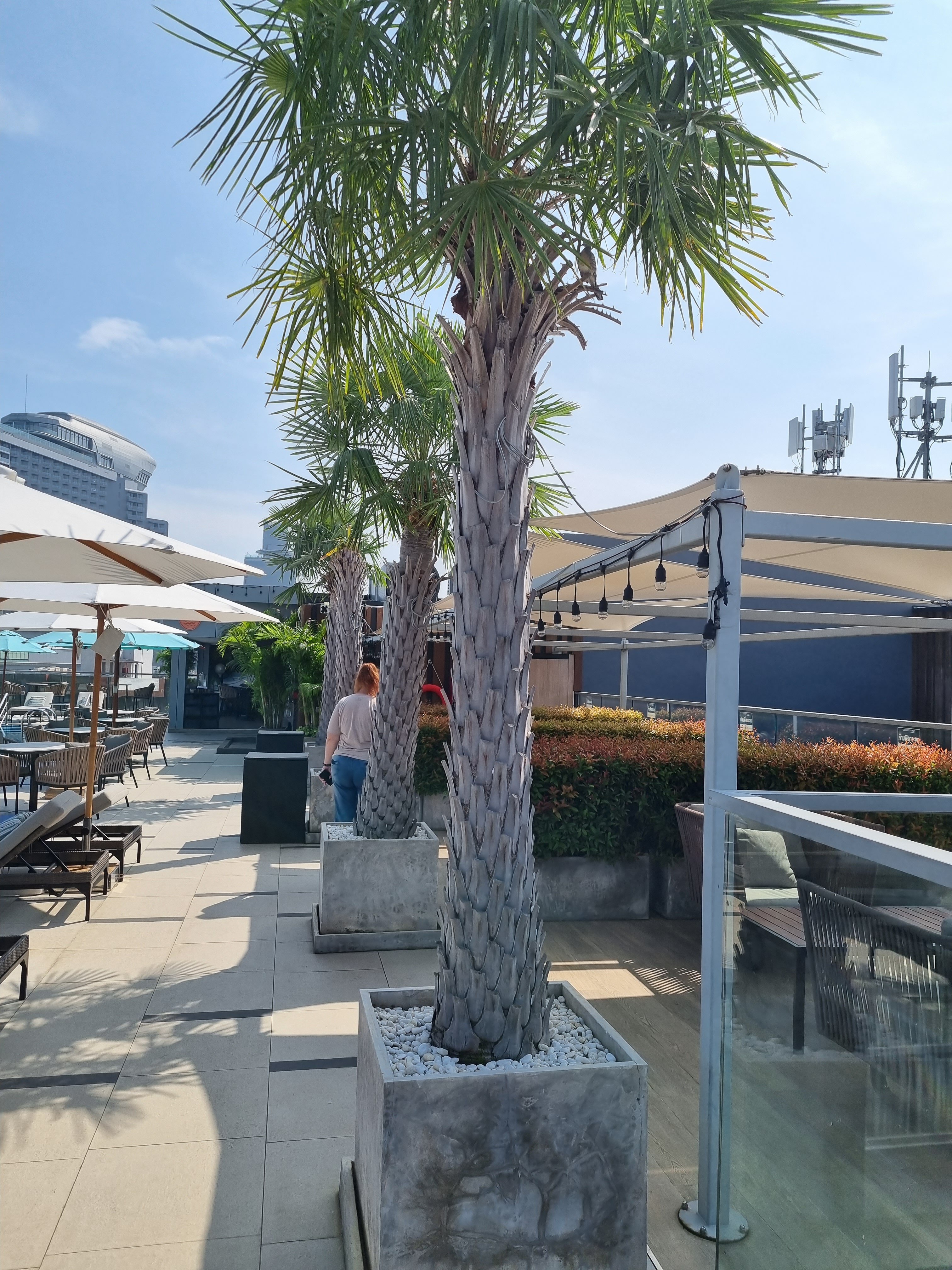 Фото Courtyard by Marriott North Pattaya