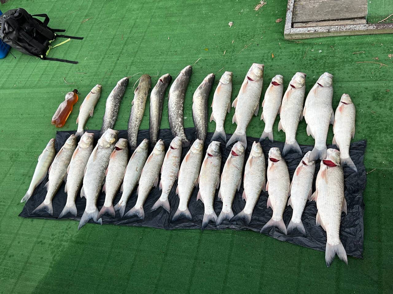 Фото River House