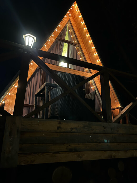 Фото Богатый лес