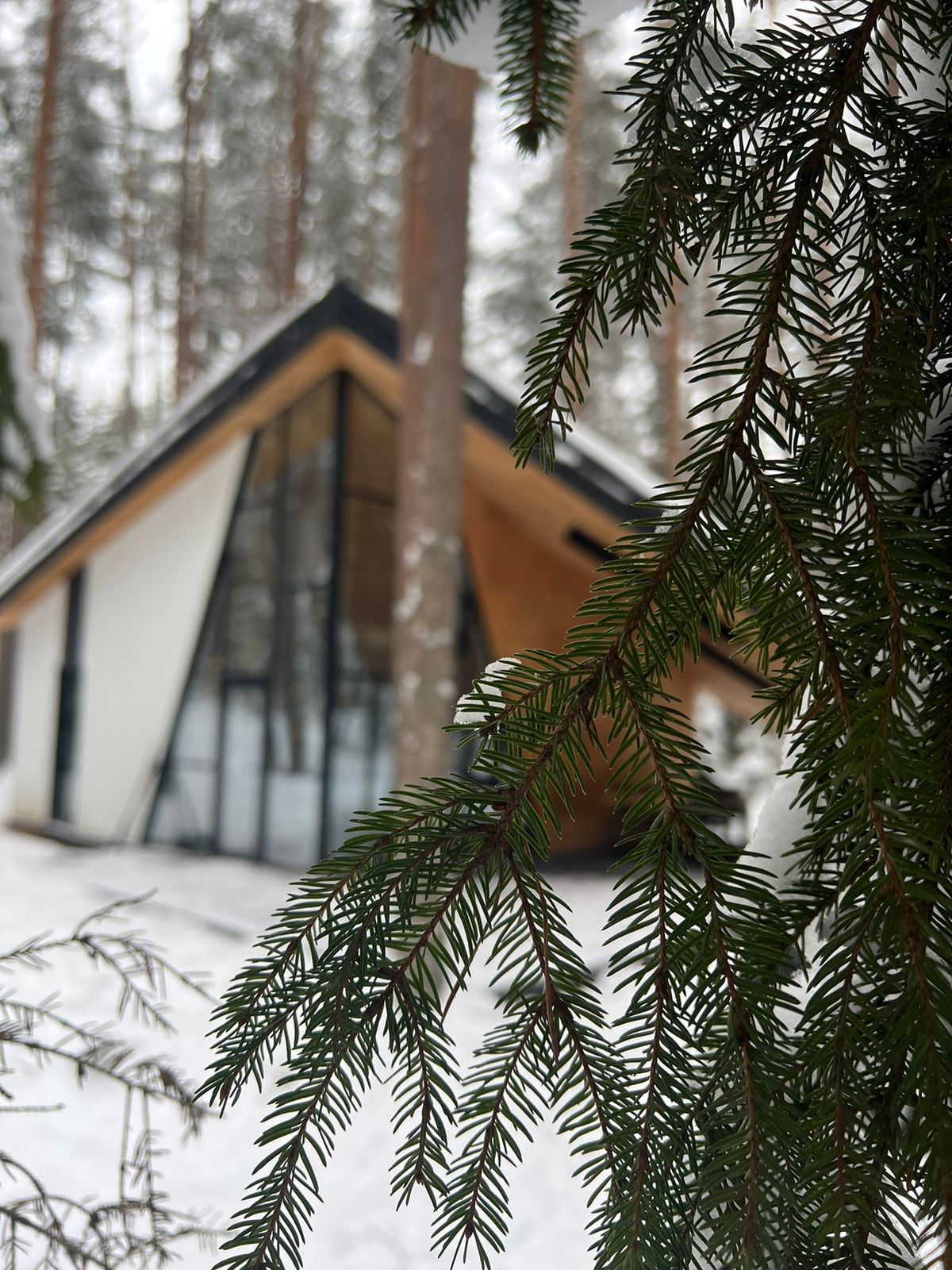 Фото Seliger Soul