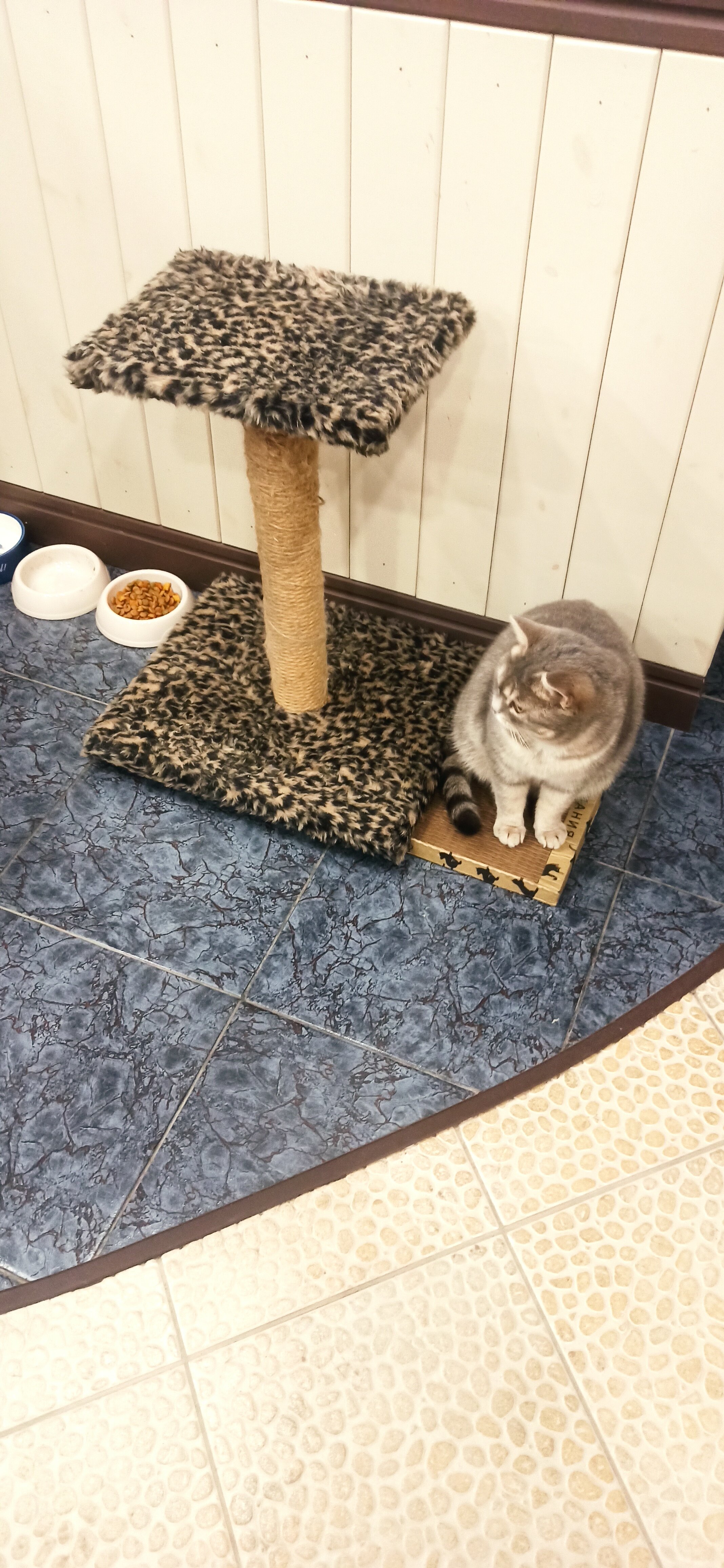 Фото Дилижанс