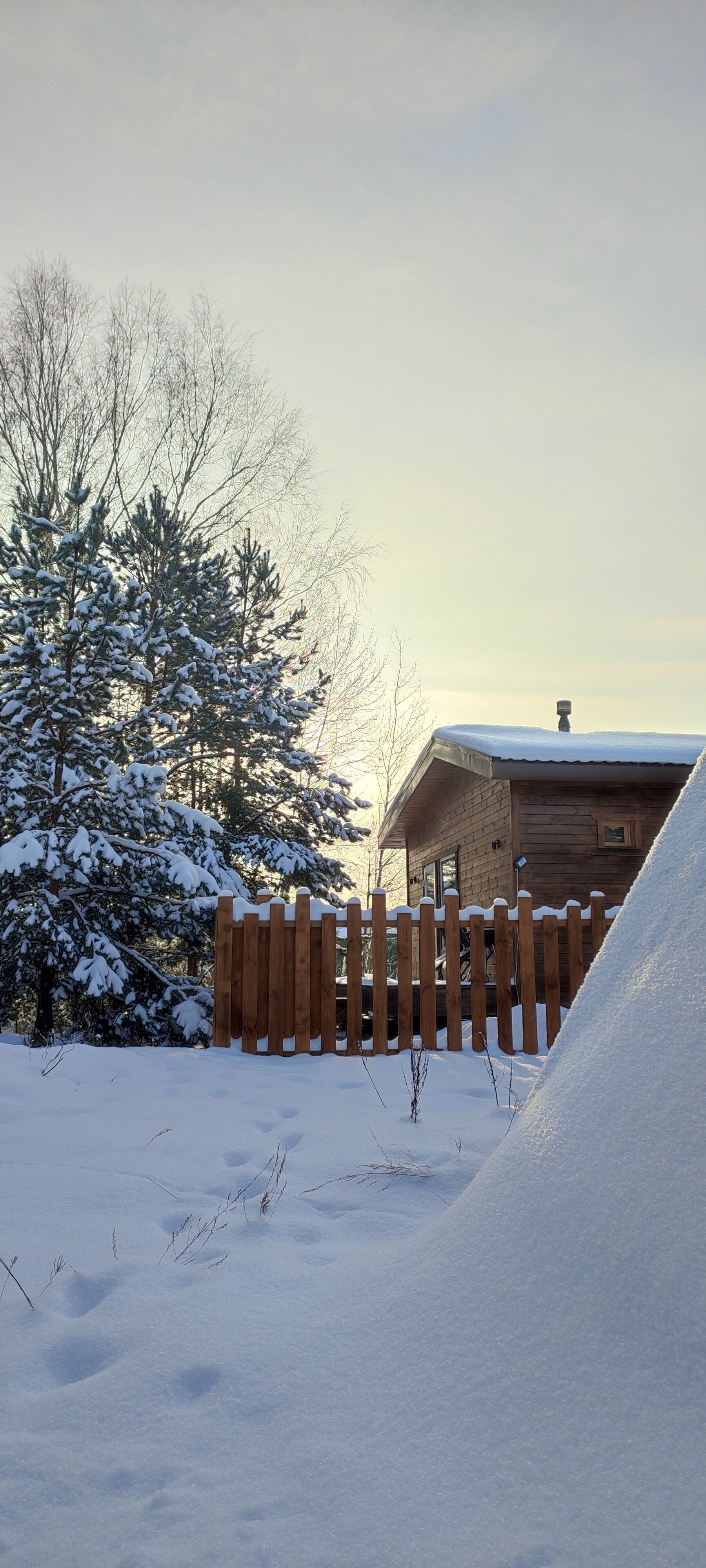 Фото Мишкино