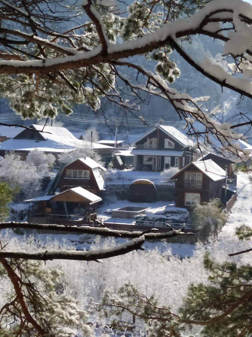 Фото Речной Оазис