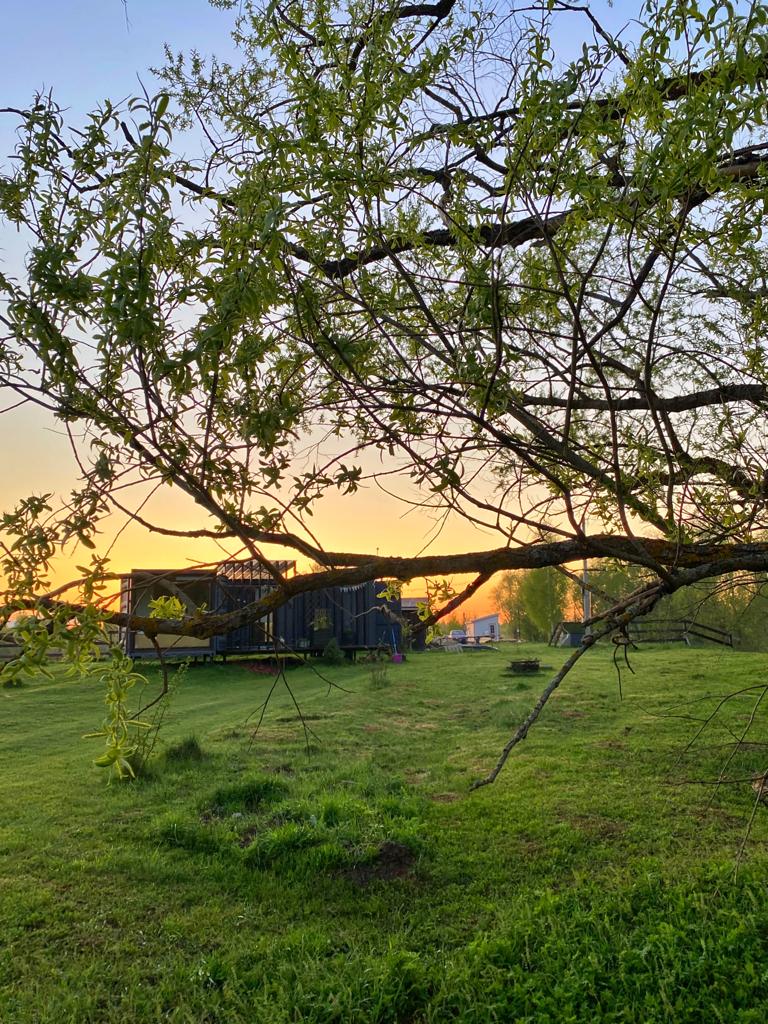 Фото Лес и луга