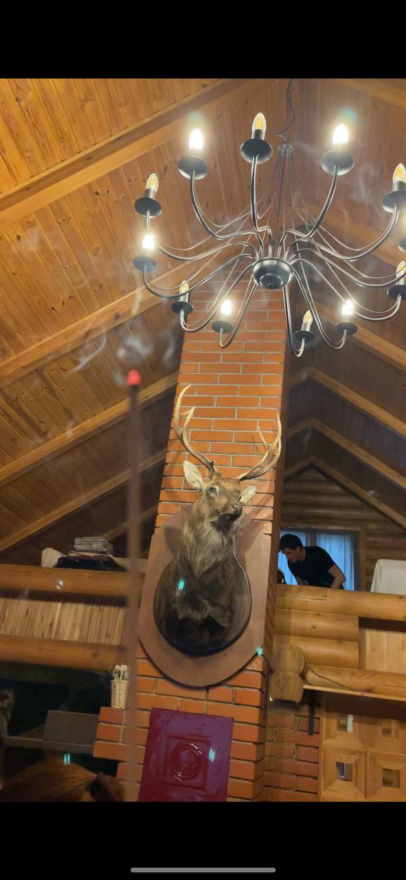 Фото Загородный комплекс Норд Стар