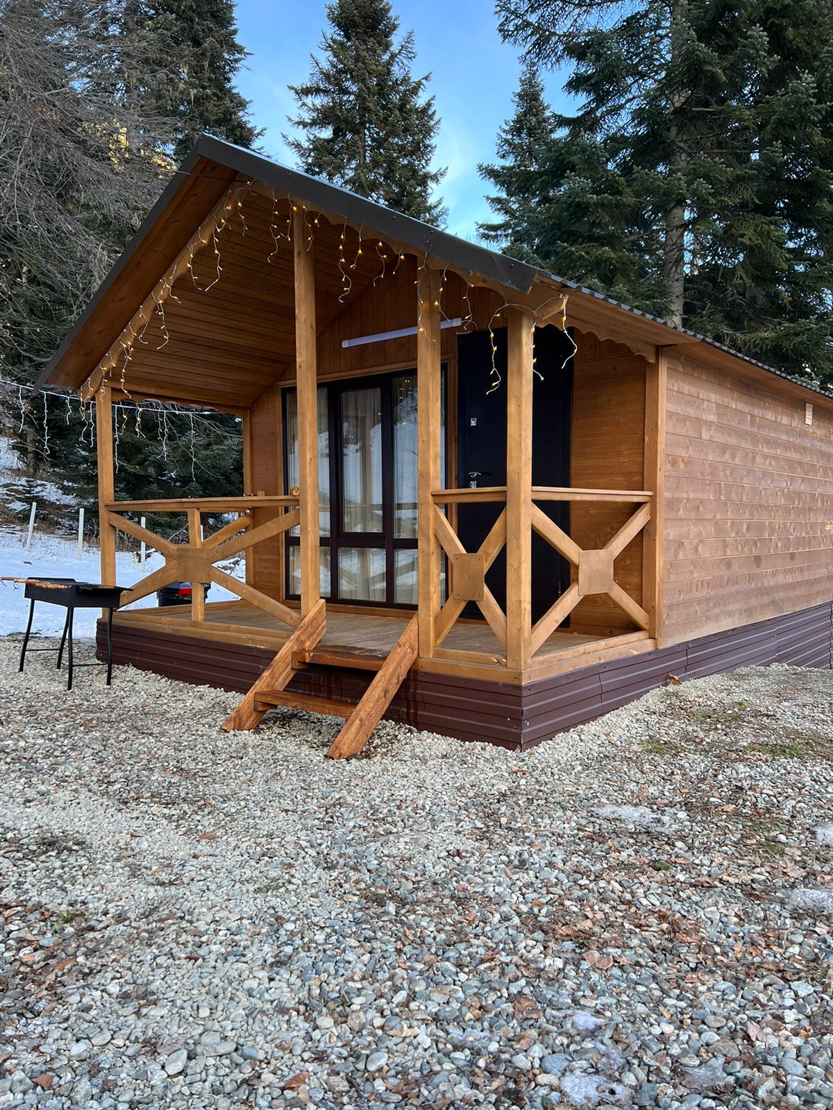 Фото Дикая Лошадь