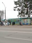 Budtrest (Bresckaja voblasć, Baranavichy, Kamsamolskaja Street) ، توقف وسائل النقل العام