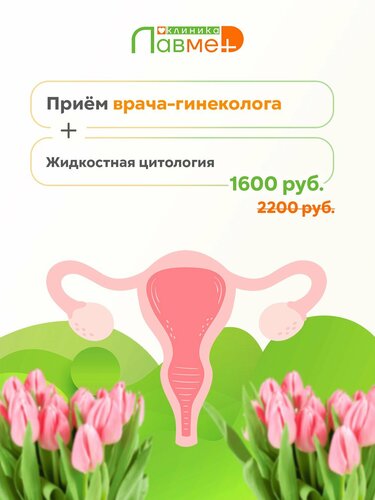 Услуги