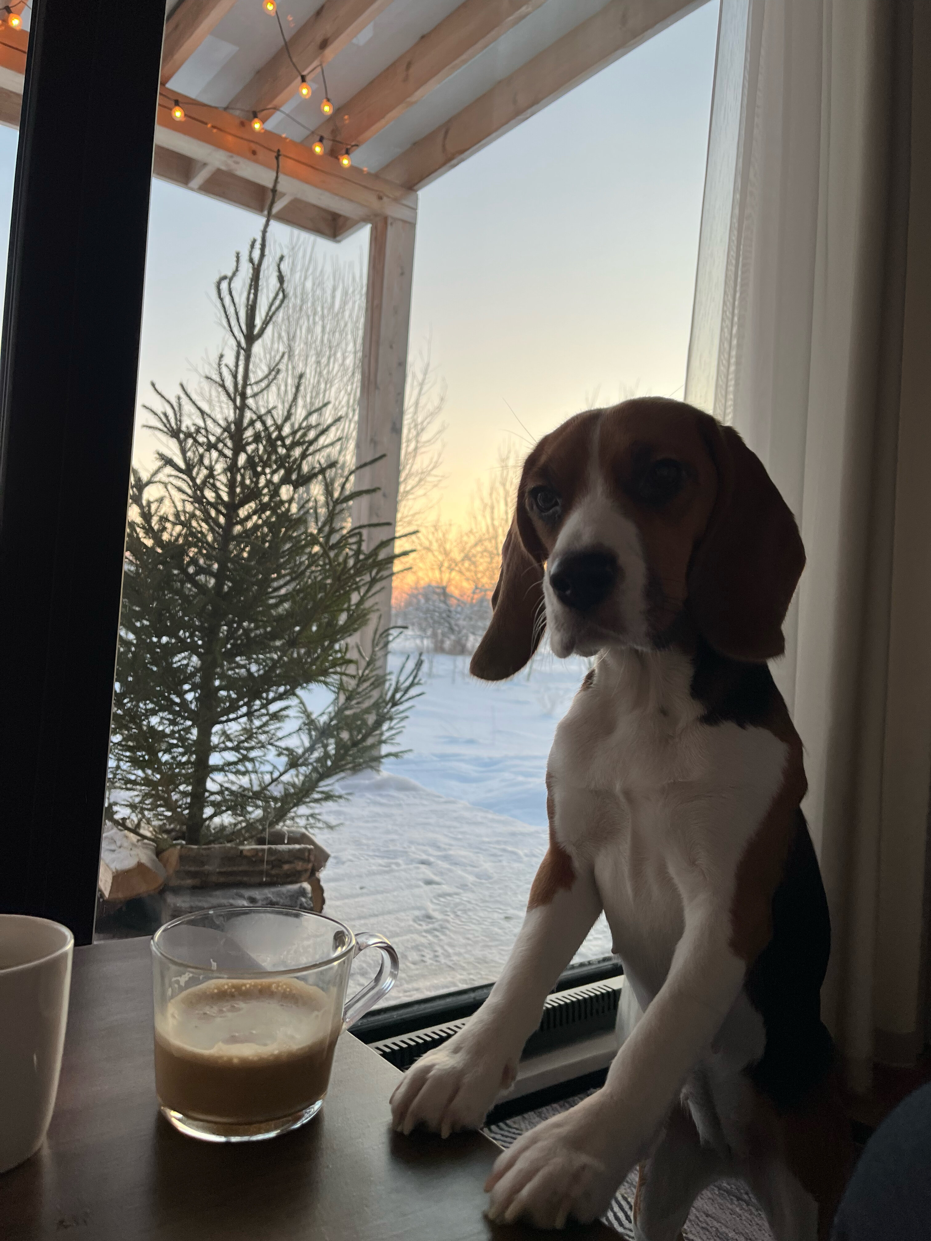 Фото Lonô дом