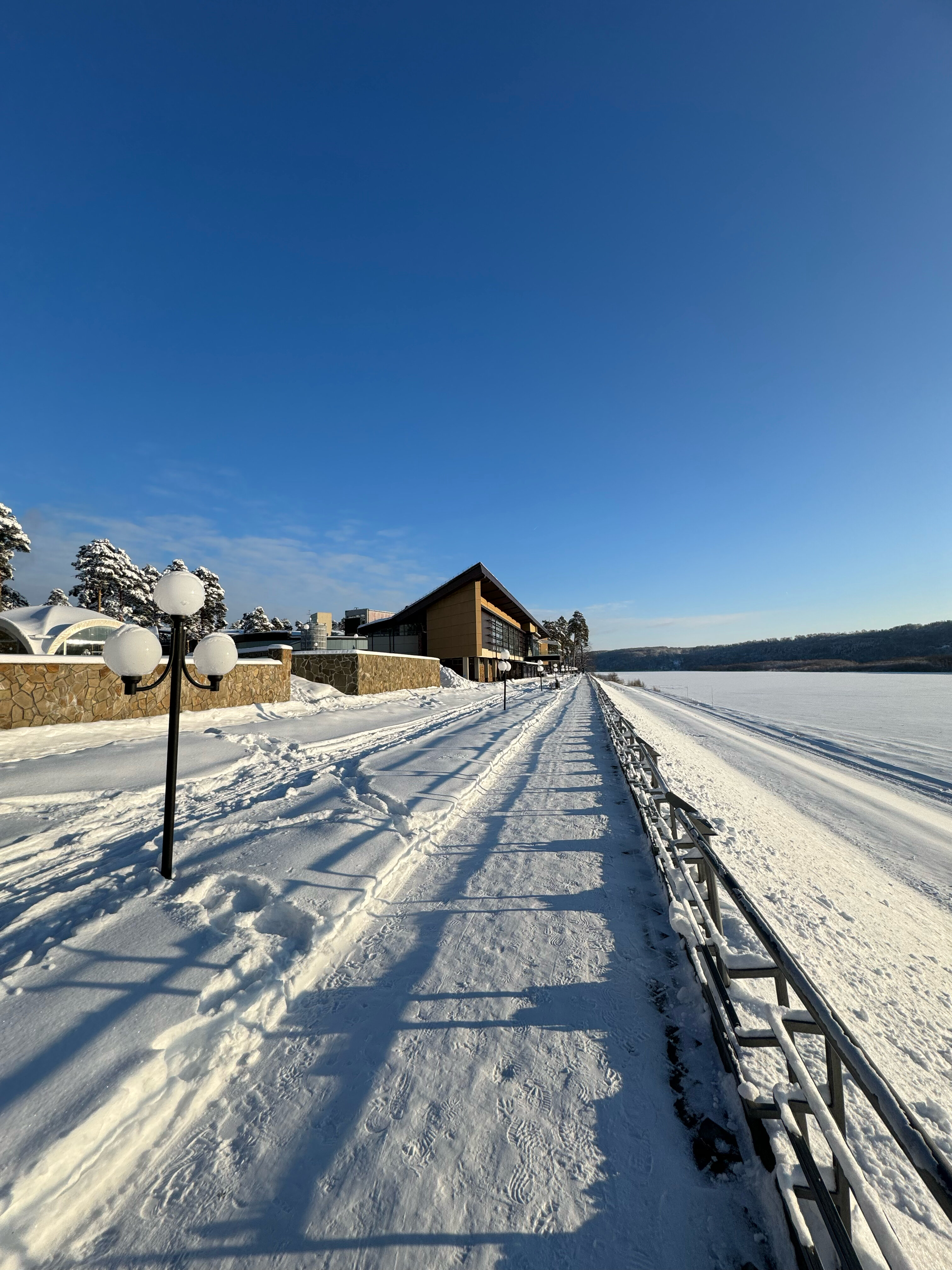 Фото Чайка