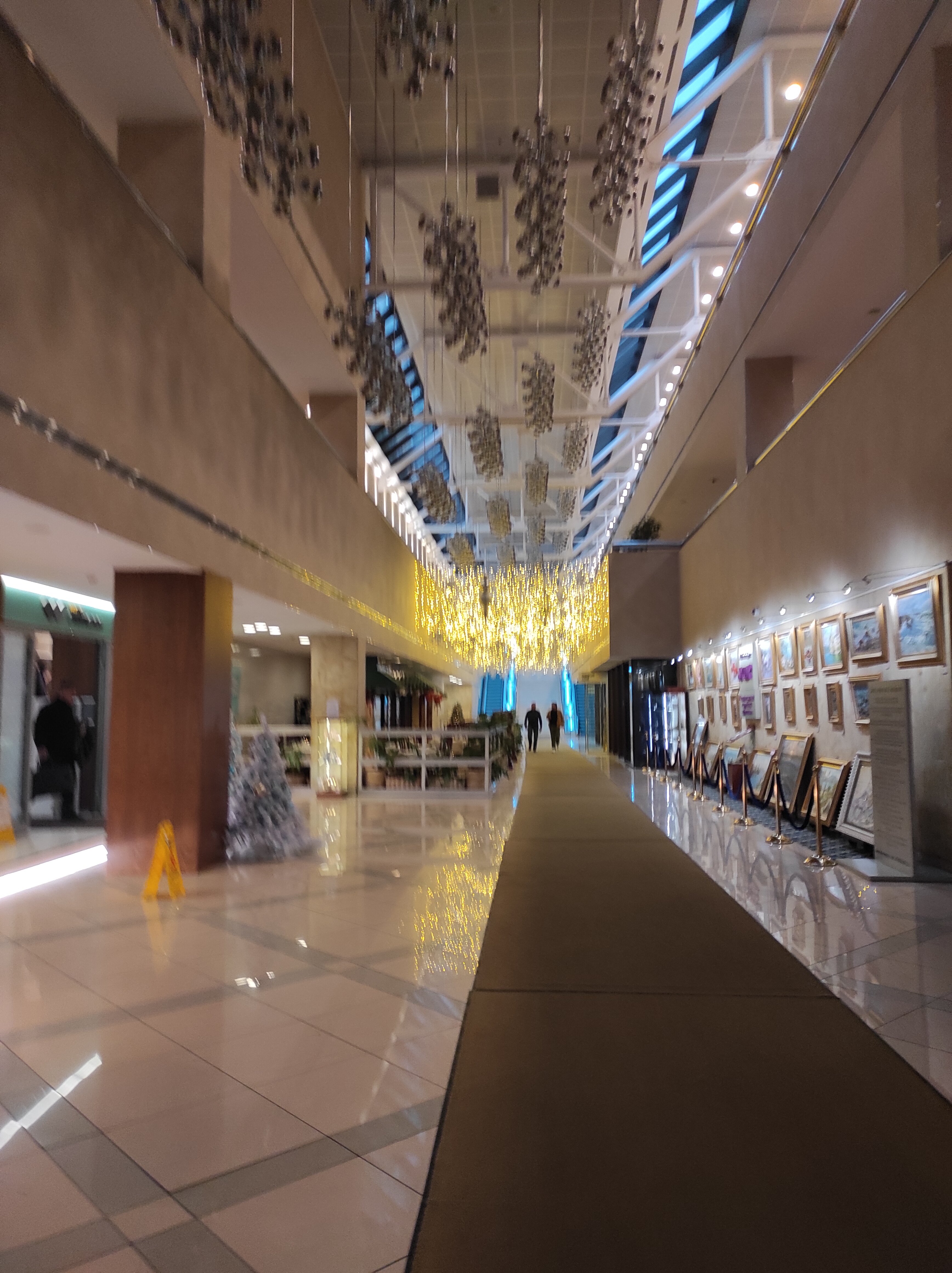 Фото Plaza Garden Moscow WTC