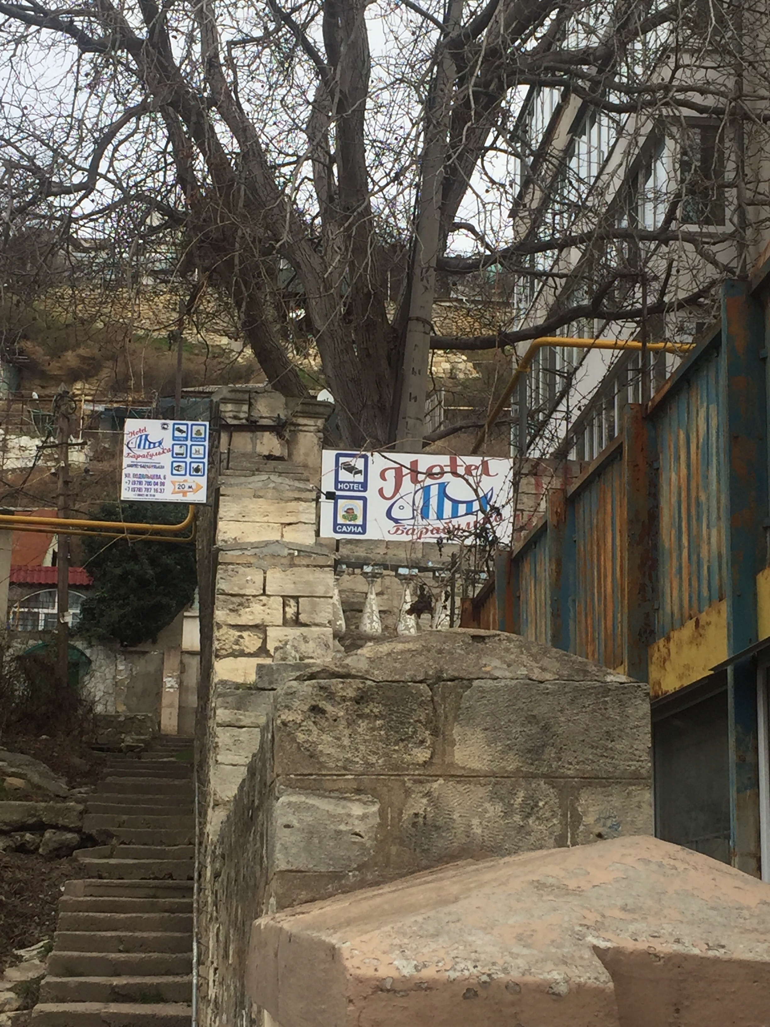 Фото Барабулька