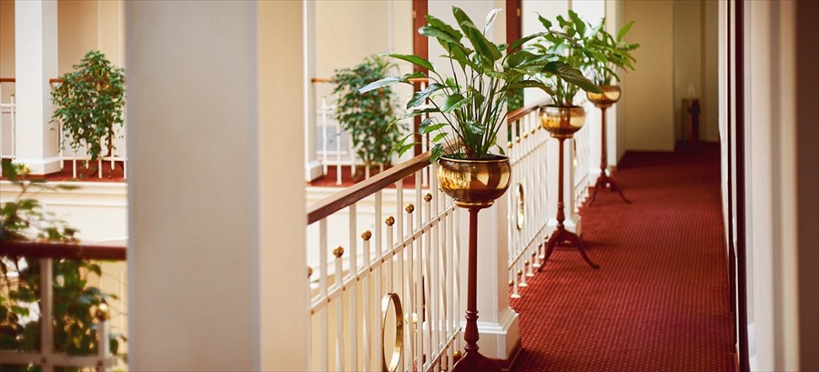 Фото На Казачьем