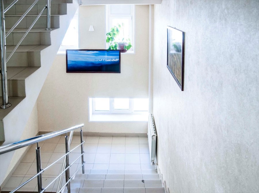 Фото Альпина