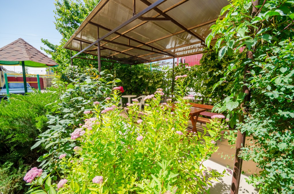 Фото Любимая