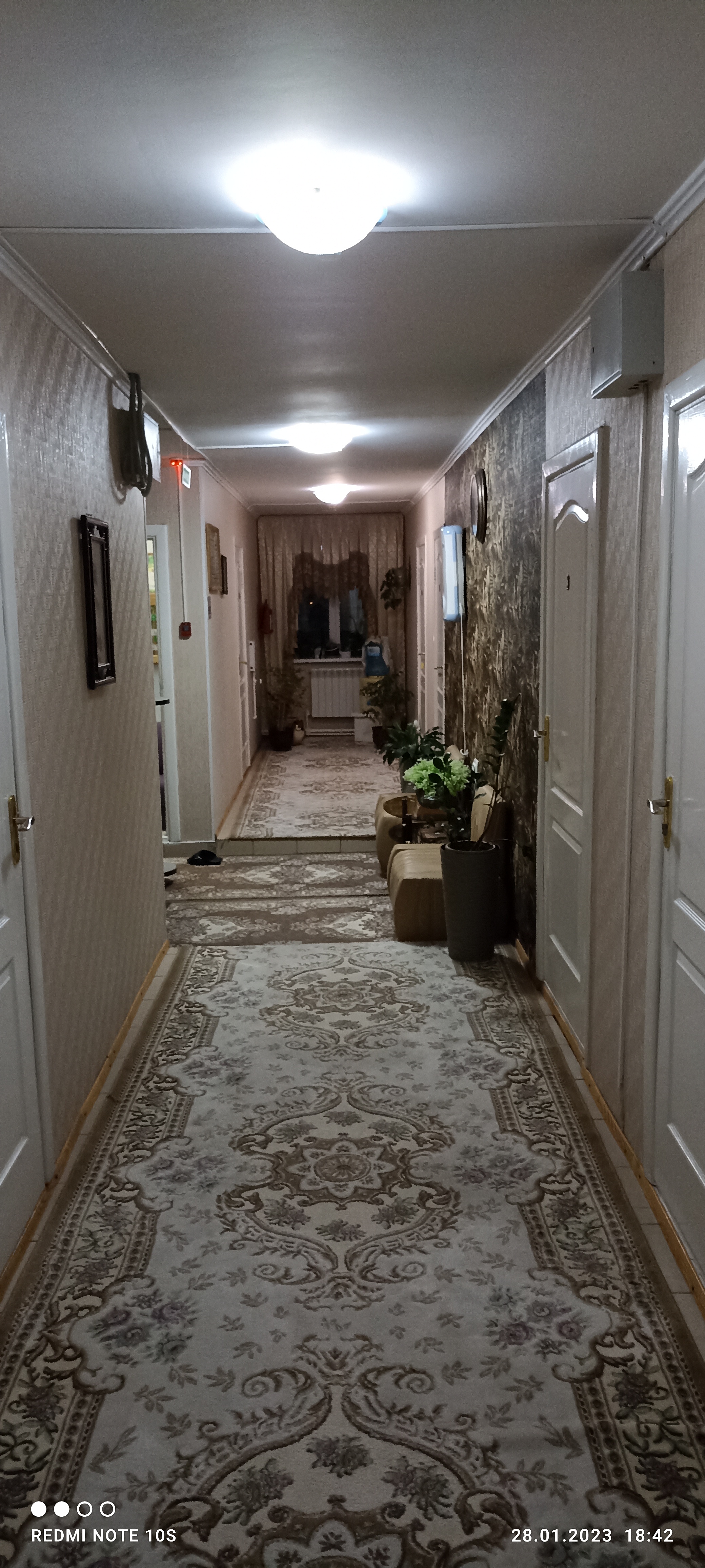 Фото Ландыш