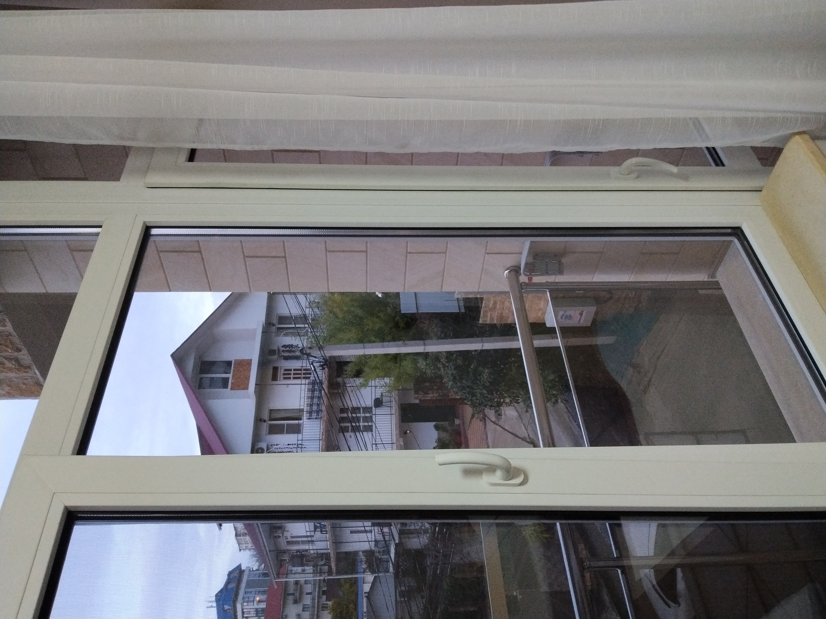 Фото Черноморская Звезда