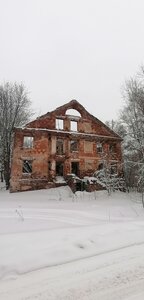 Усадьба И.А. Яновича Петровская мыза, дом усадебный (Псковская область, Опочецкий муниципальный округ, деревня Петровское), достопримечательность в Псковской области