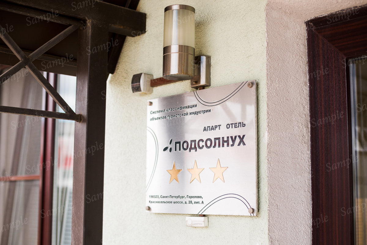 Фото Подсолнух