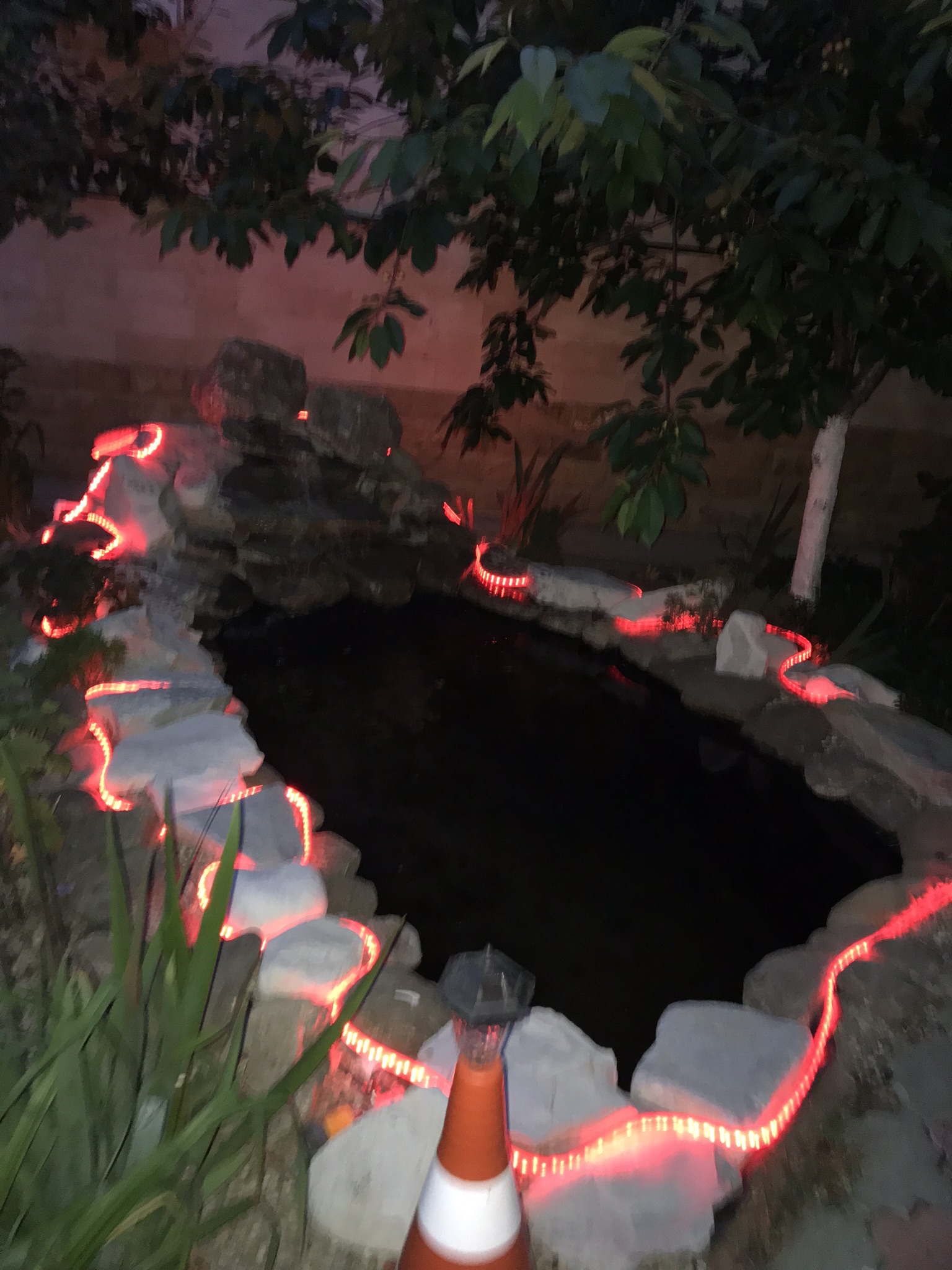 Фото Белая Невесточка