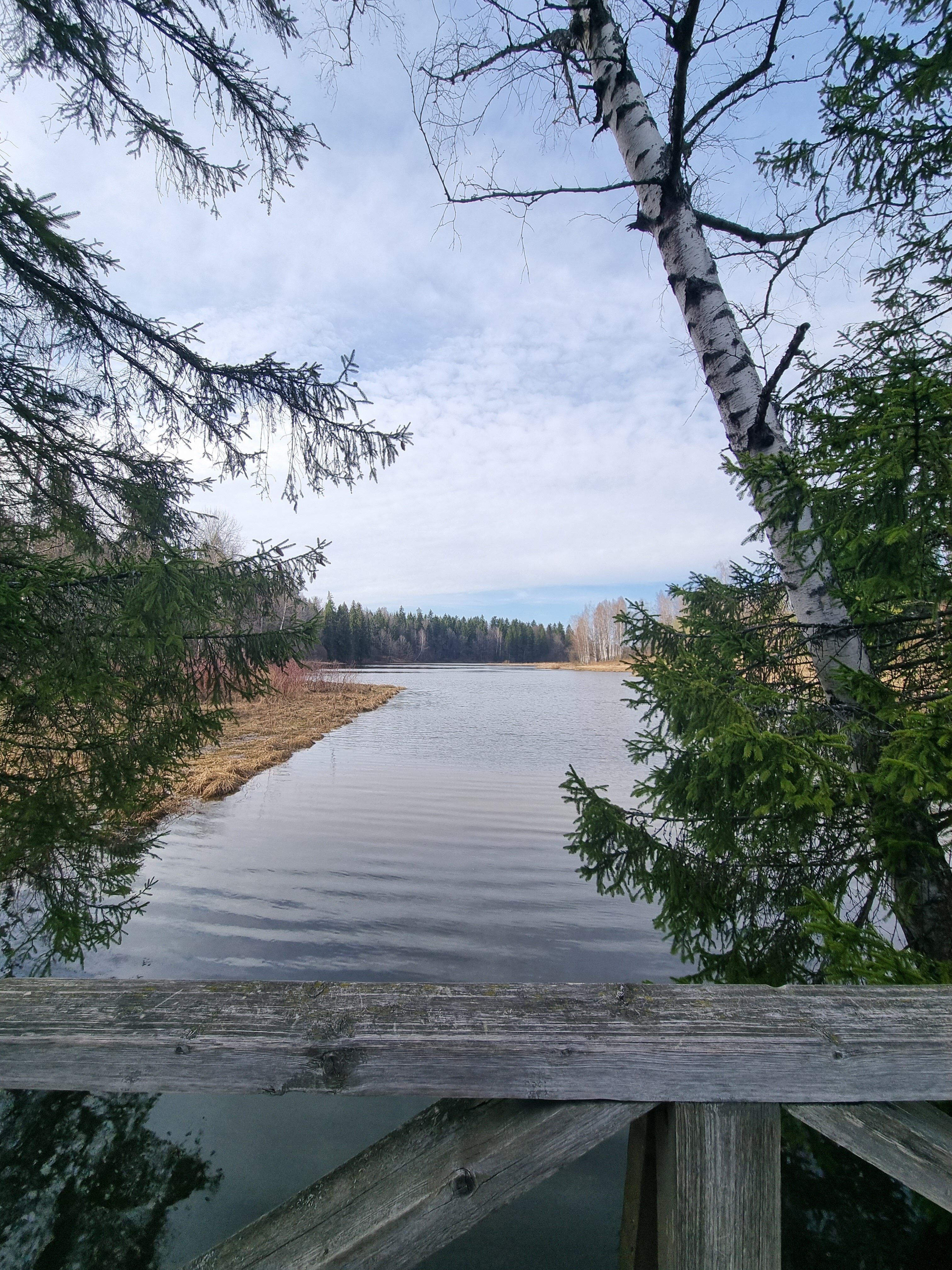 Фото Вилла Альпина