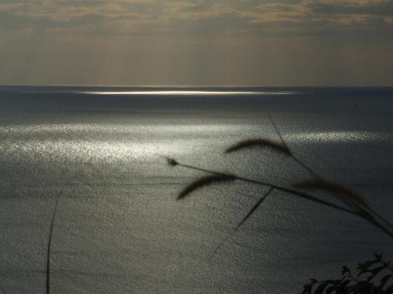 Фото Para Resort Koh Chang