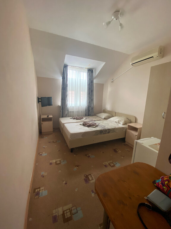 Фото Южный Платан