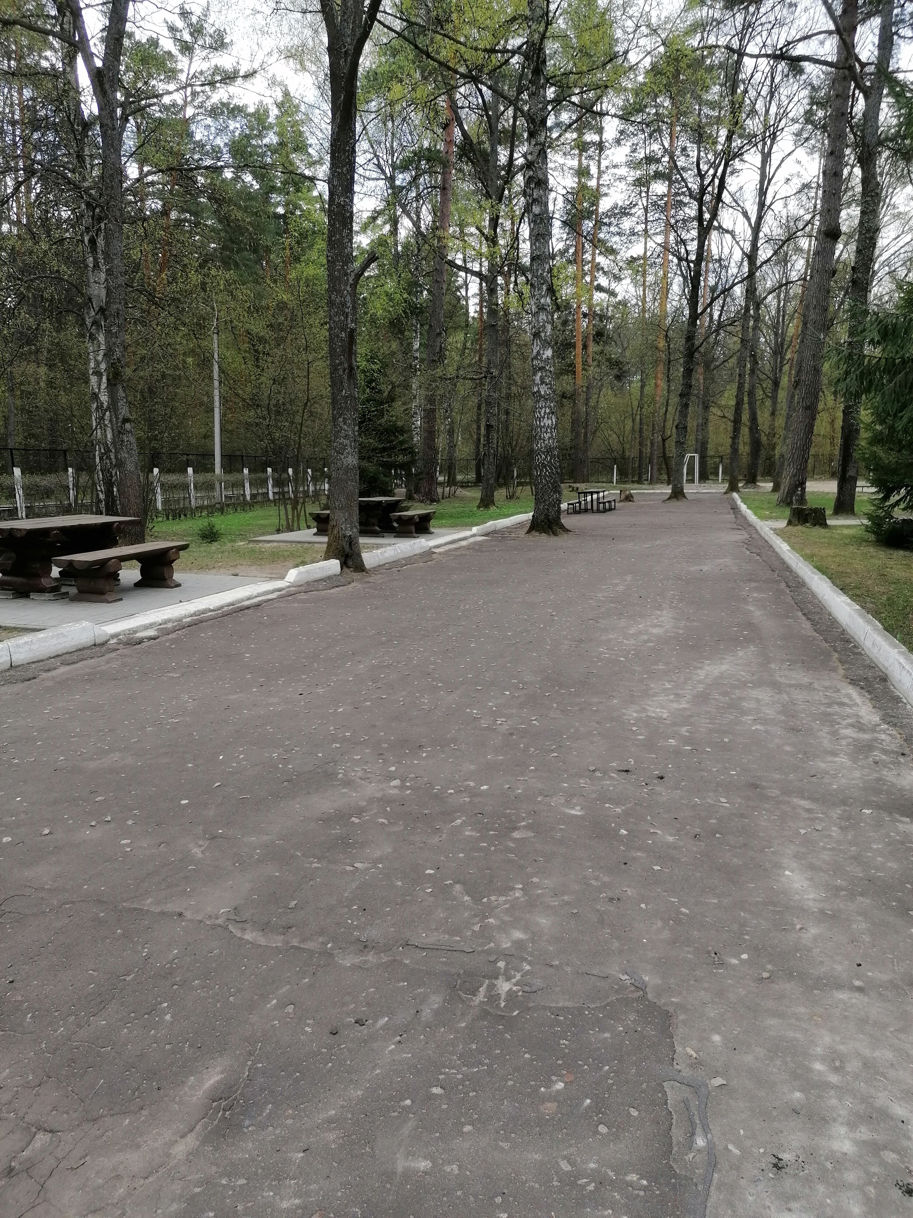 Фото Энергетик