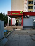 Avokado (52-й комплекс, 20), grocery