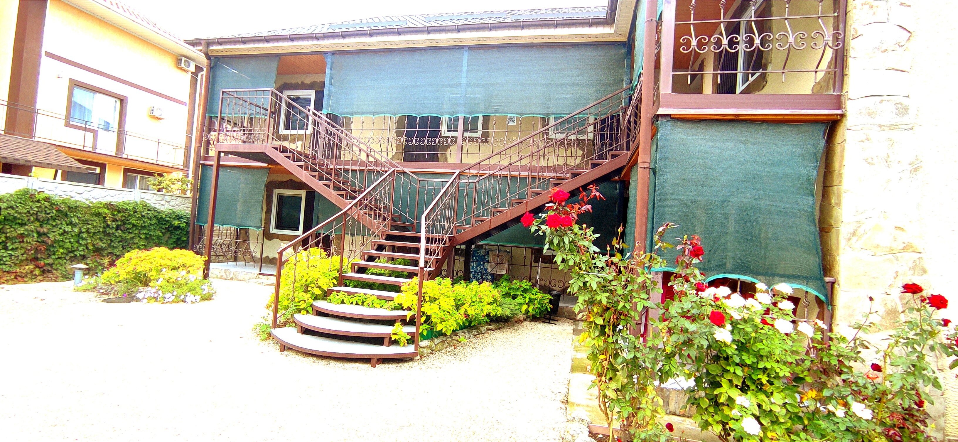 Фото Белый парус