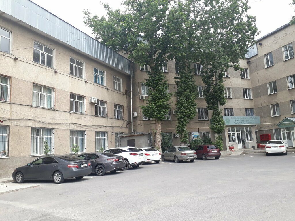 Library Library, Chimkent, photo