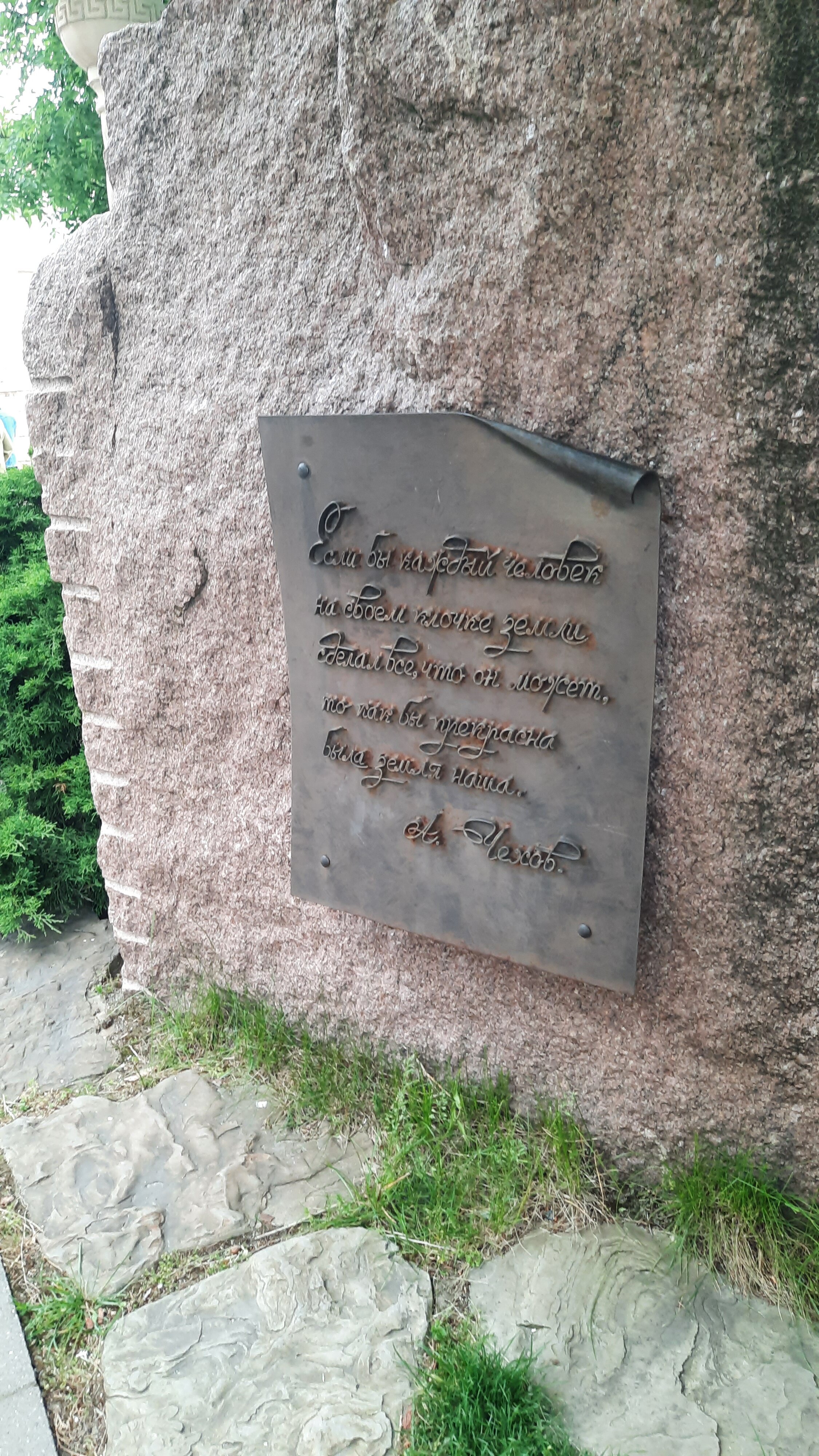 Фото Багира