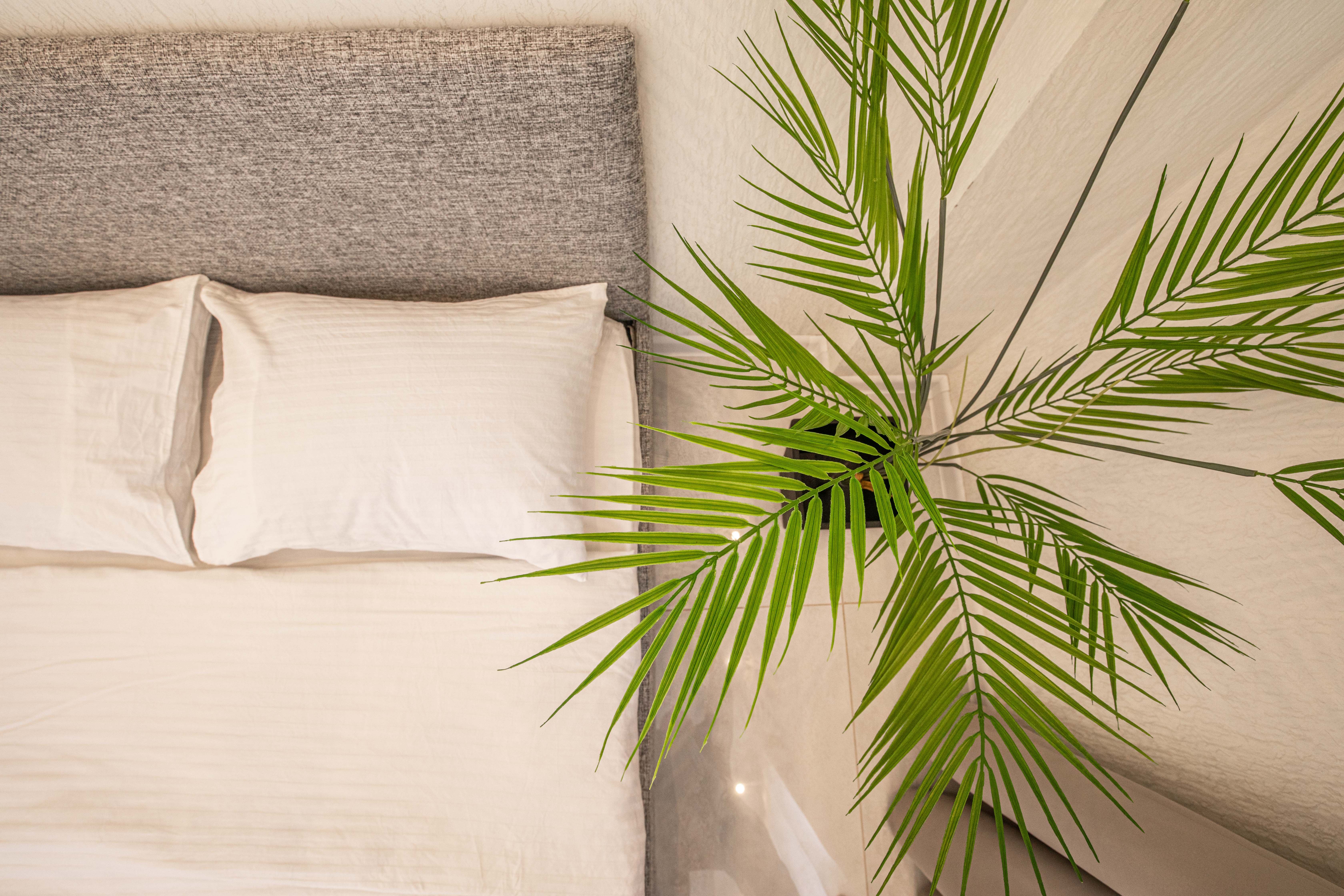 Фото Comfort_of_House