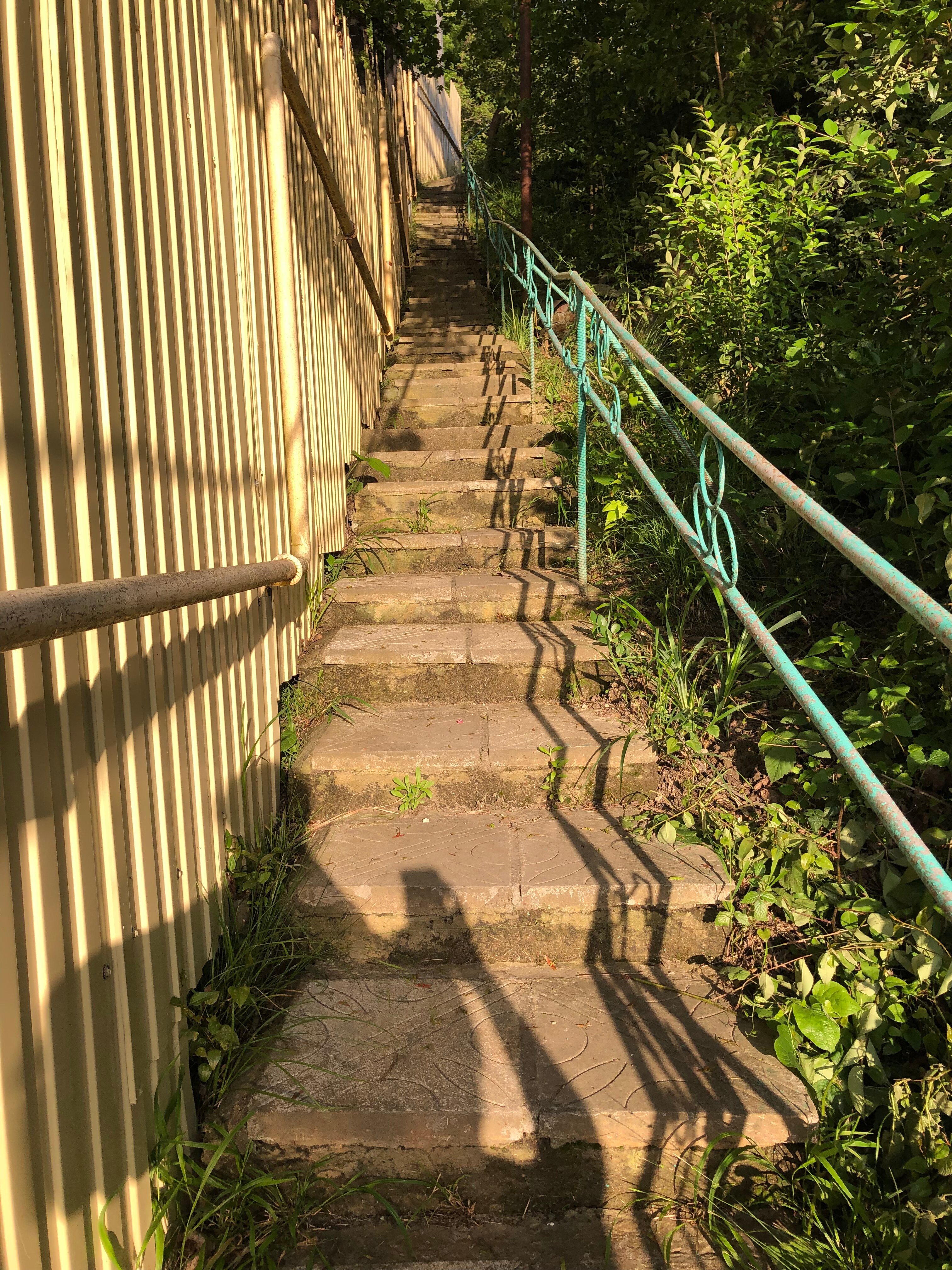 Фото Панорама Хоста