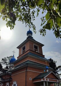 Порноның артындағы тор