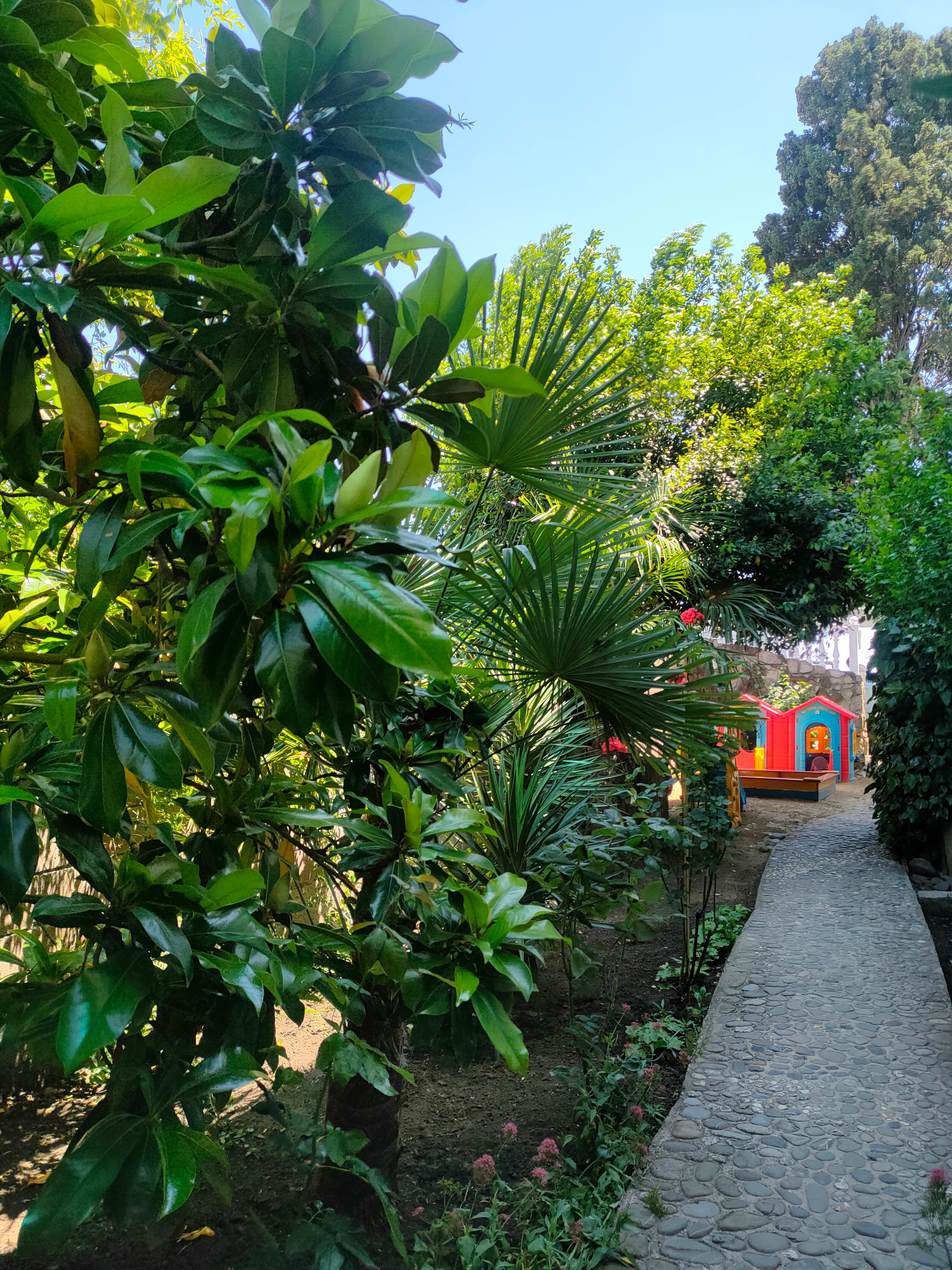 Фото Сон у моря