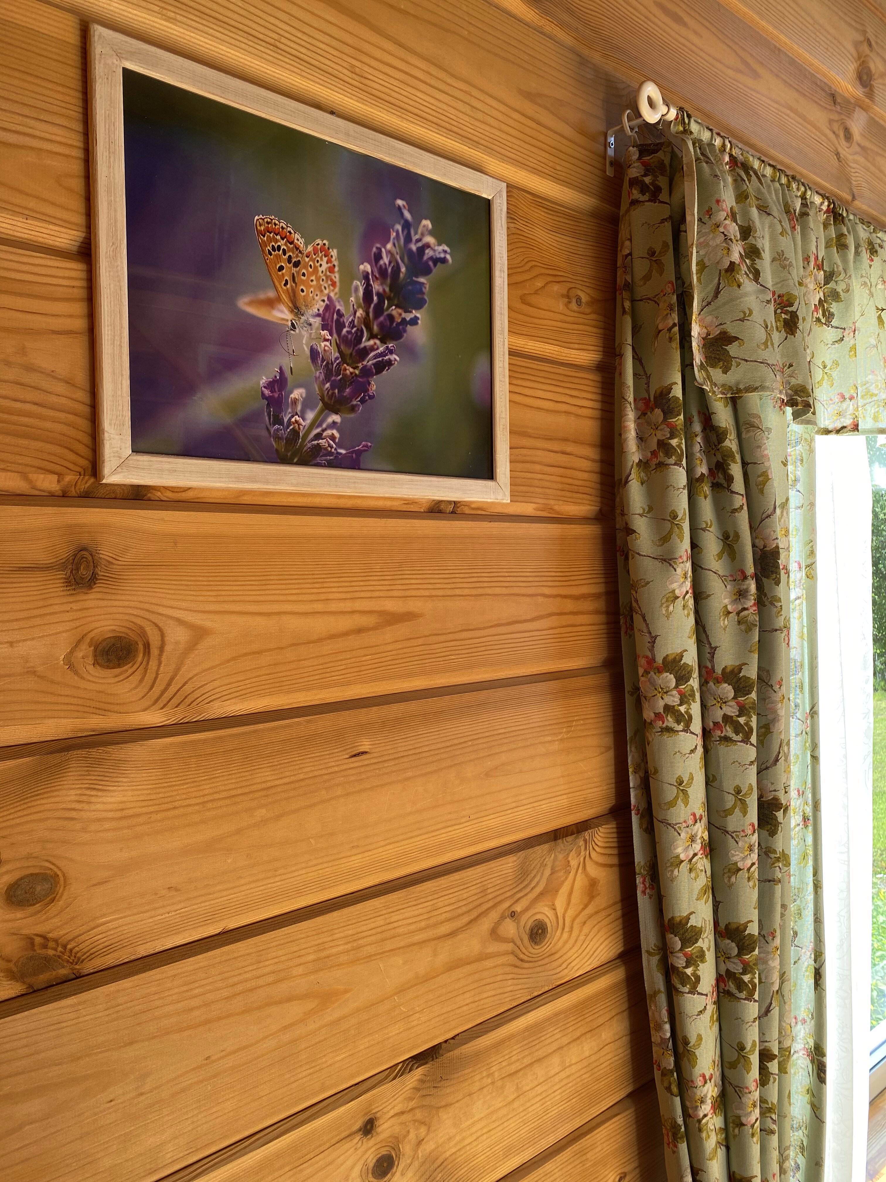 Фото Лаванда