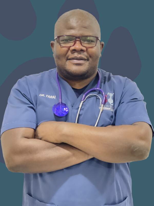 Pet shop Nad Al Shiba Veterinary Hospital, Dubai, photo