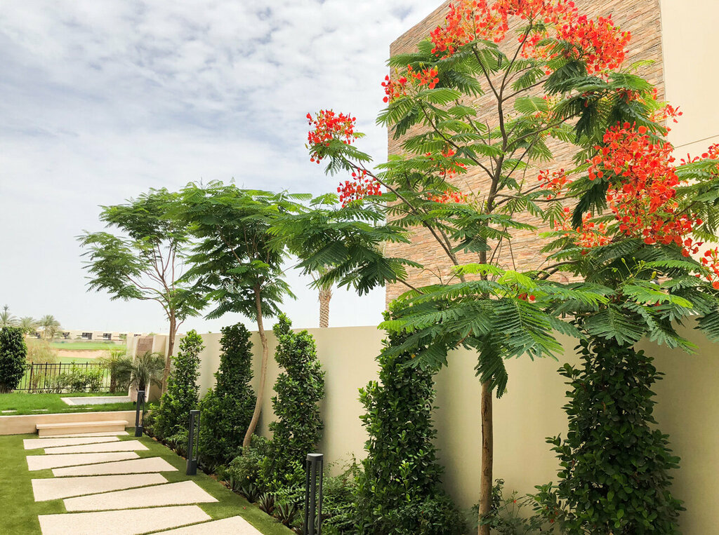 Building constructions Spd Contracting, Dubai, photo