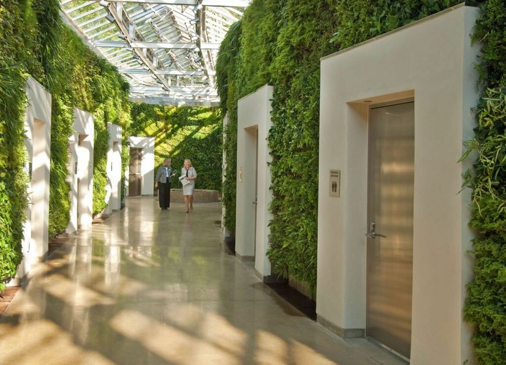 Landscape design Sunscape Landscape & Gardening, Dubai, photo