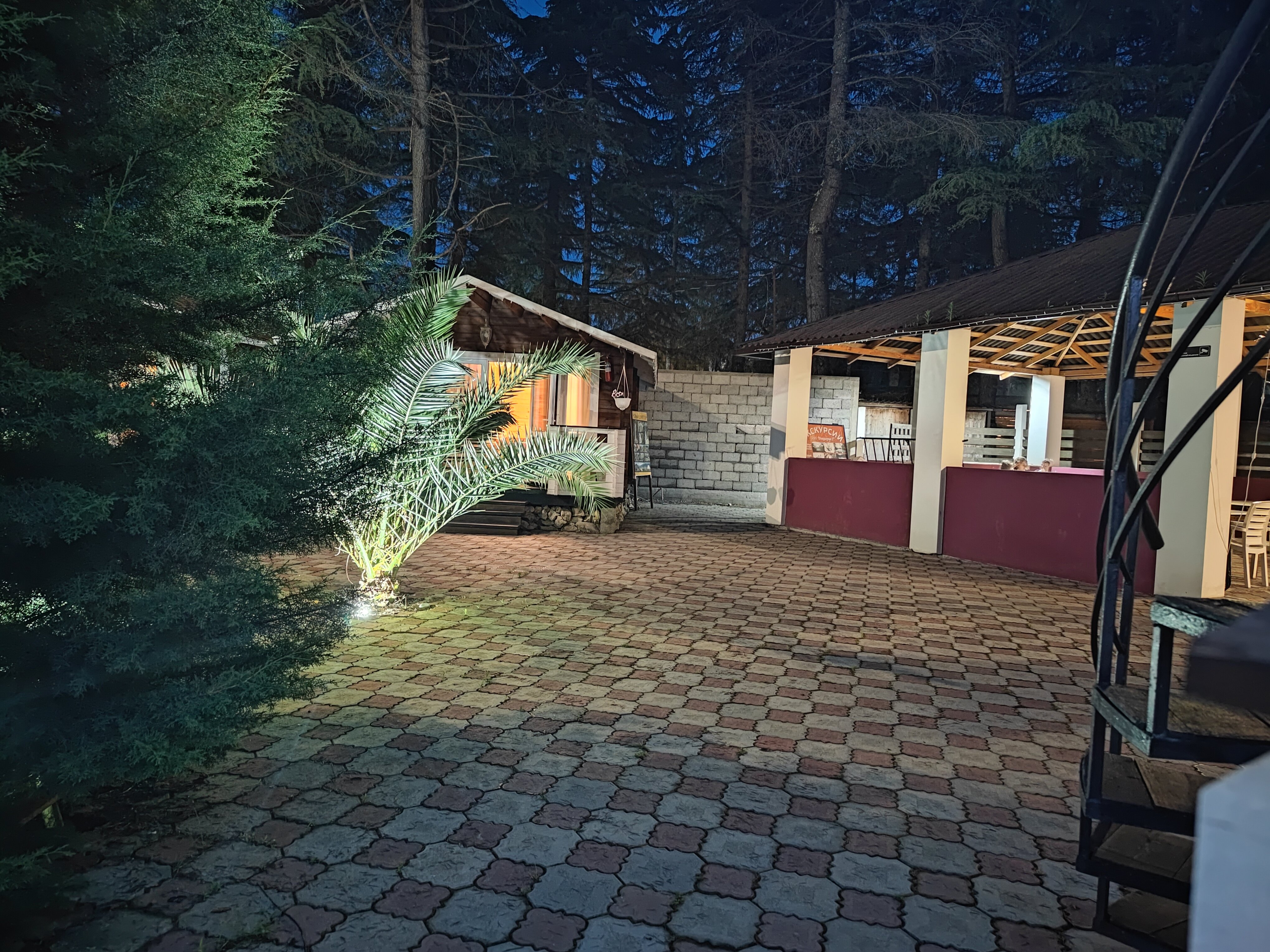 Фото Eco House Pitiunt