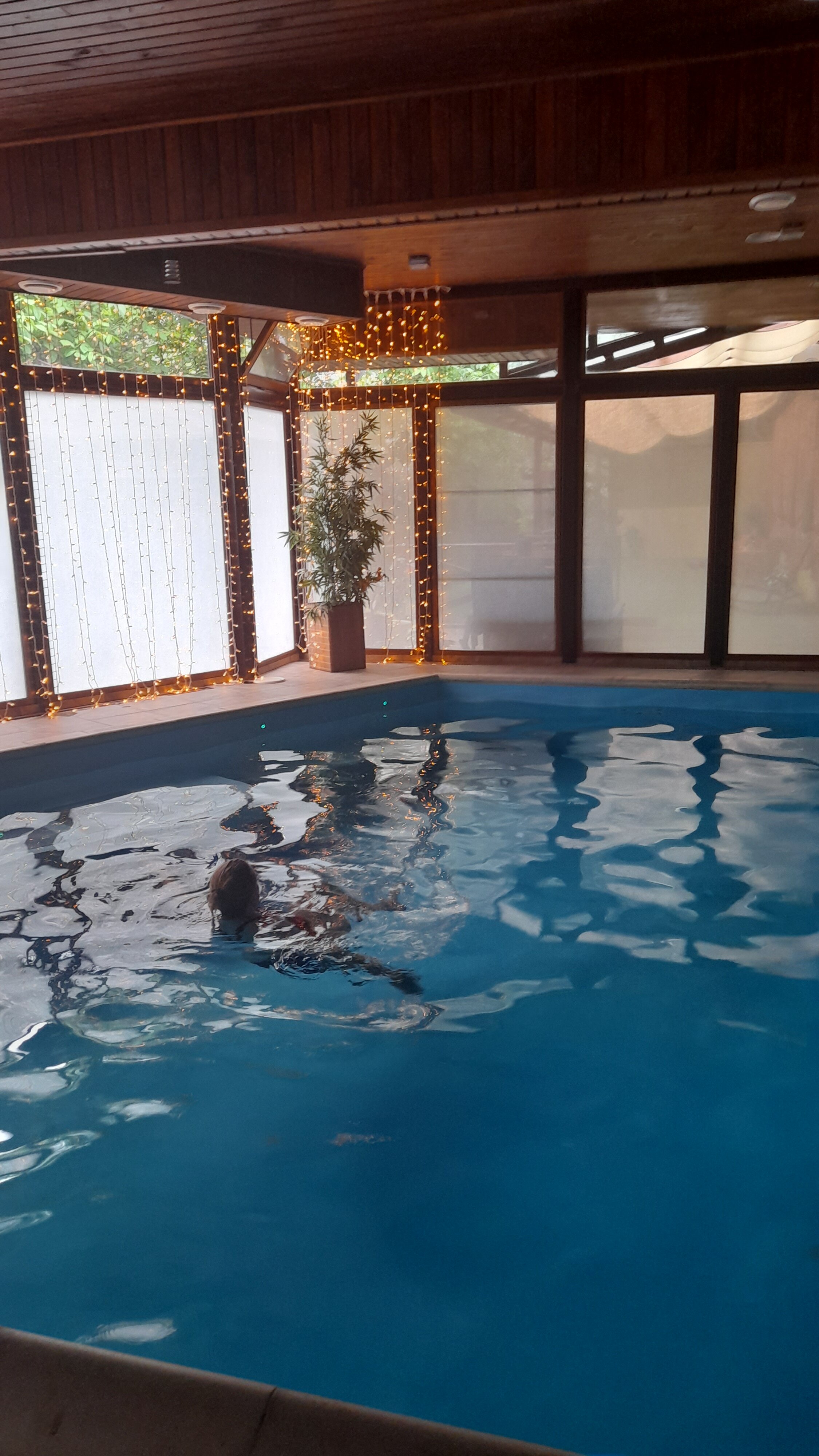 Фото Березки