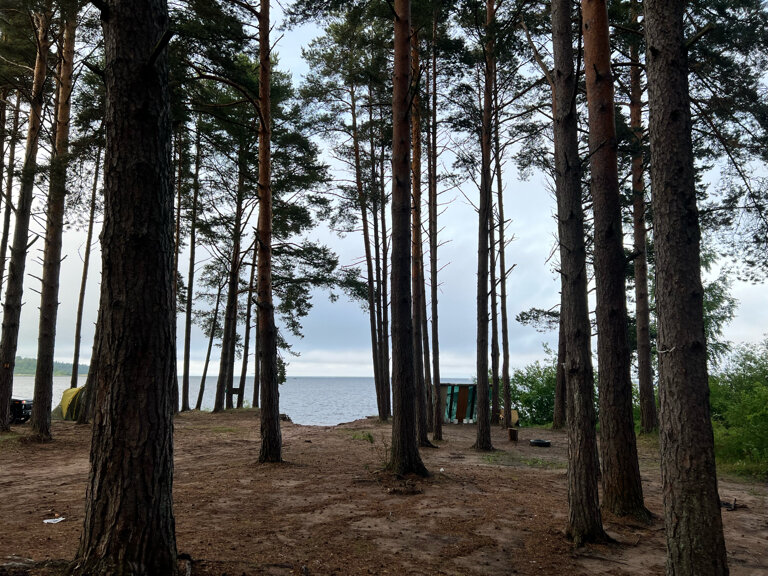 Фото Золотой берег