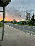 Питомник Жилино (Moscow Region, Solnechnogorsk Urban District, posyolok Zhilino, Pyatnitskoye Highway), parada de transporte público