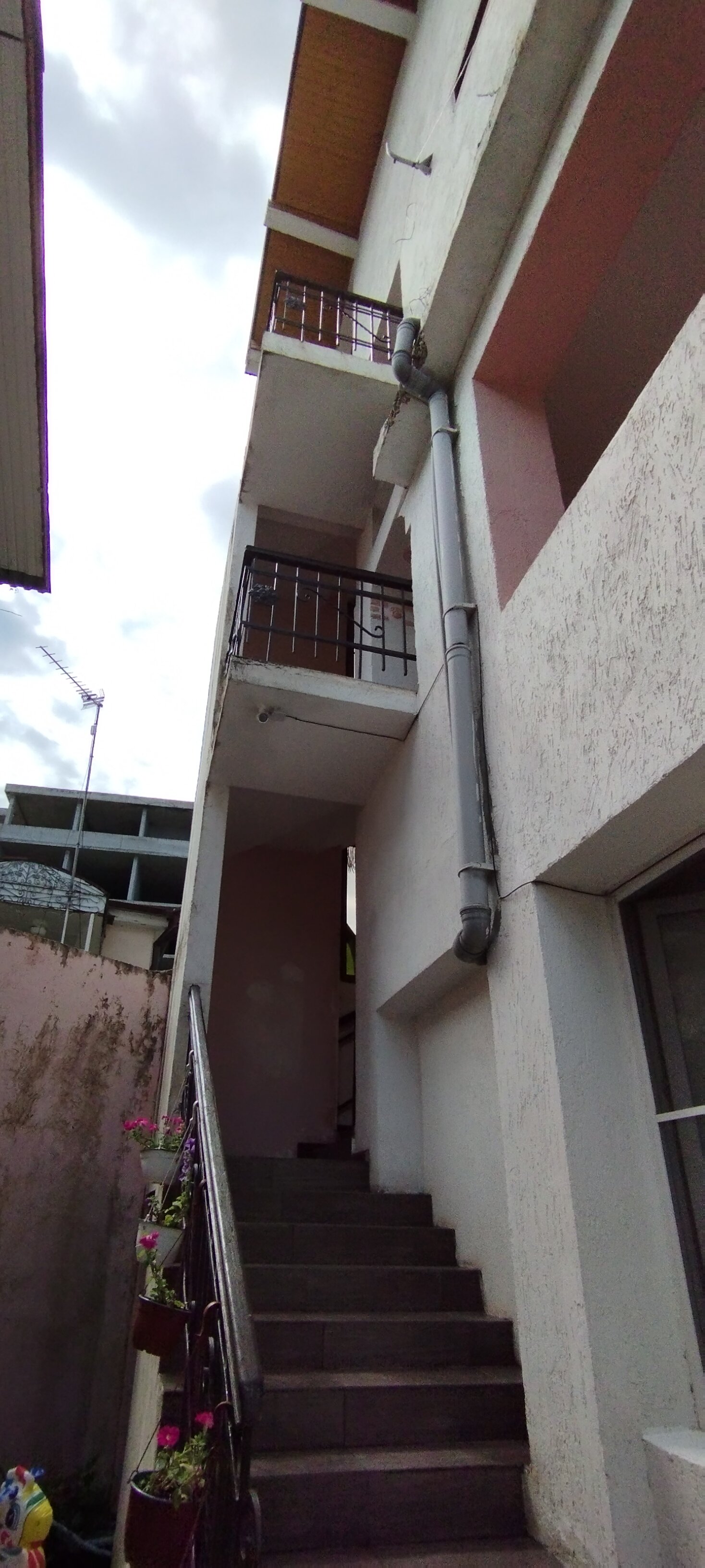 Фото Бугенвиллия